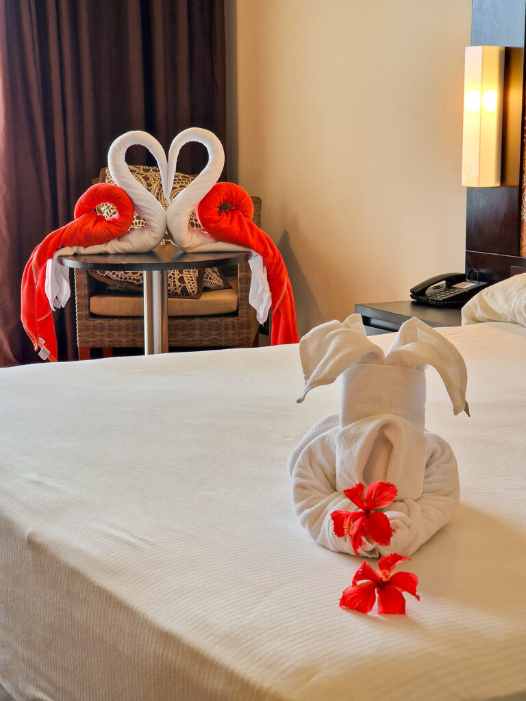 Towel Art at Riu Sri Lanka left on the bed, 2 swans kissing and a dog with flowers