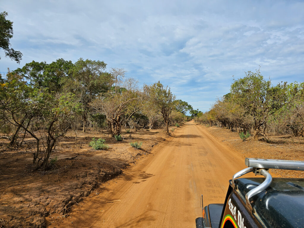 A 4x4 jeep driving on a long road in Yala National Park Sri Lanka